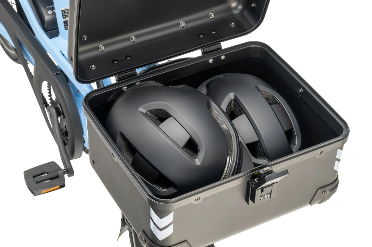 Tern Transporteur Rack