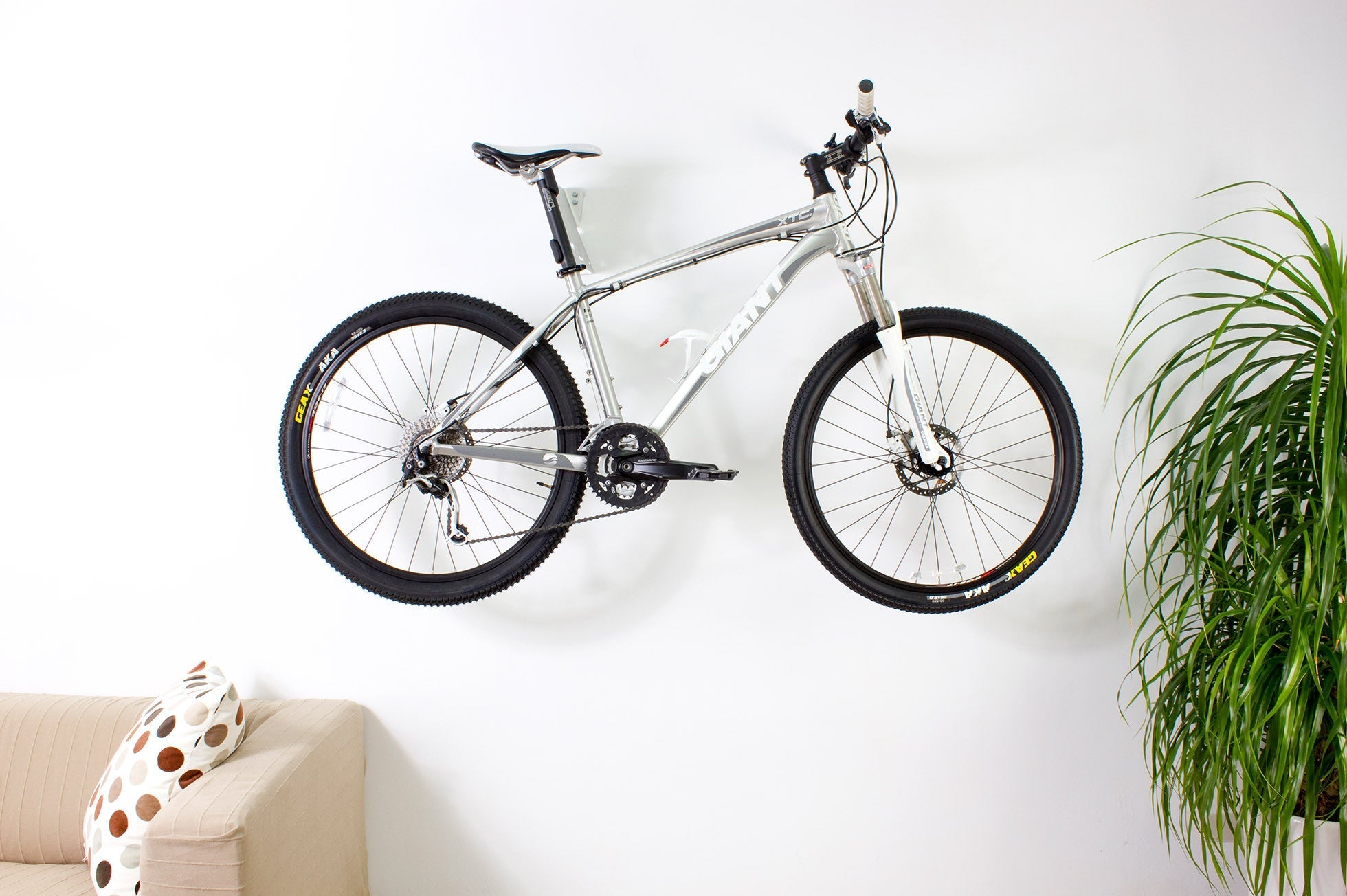 Tern Perch